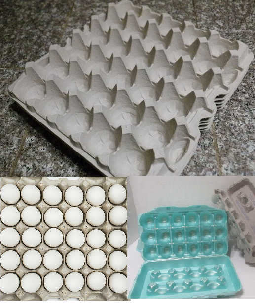 Egg cartons, foam